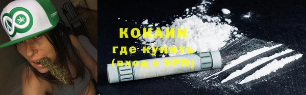 прущий лед Богданович