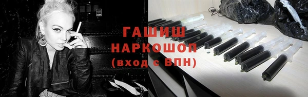 мдпв Бородино
