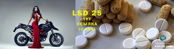 прущий лед Богданович