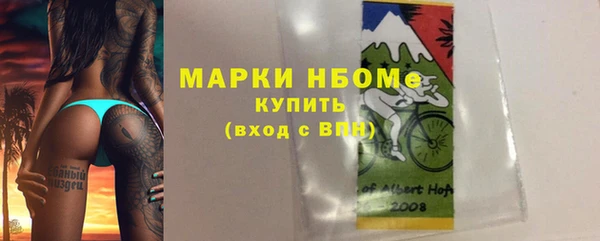 прущий лед Богданович