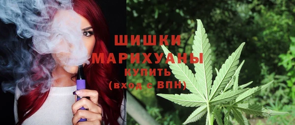 прущий лед Богданович