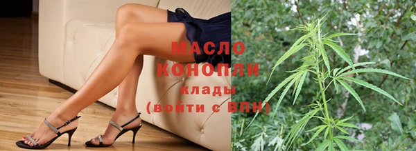 мдпв Бородино