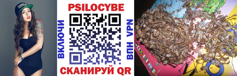 Галлюциногенные грибы Psilocybe купить закладку Сызрань