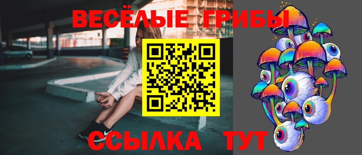 Псилоцибиновые грибы ЛСД Сызрань